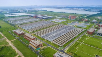 聚焦绿色生态发展 武汉控股与中南电力设计院签订分布式光伏电力合作框架协议