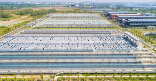 绿色能源赋能污水处理 武汉市排水公司与中南电力设计院携手推进北湖光伏项目